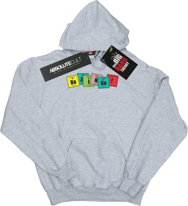 Image du produit Dam Mens Bazinga Elements Hoodie (4XL)