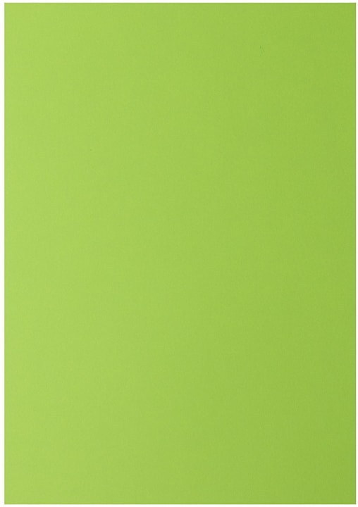 Immagine prodotto Rainbow Carta copiativa colorata A4 (120 g/m², 250 x, A4)