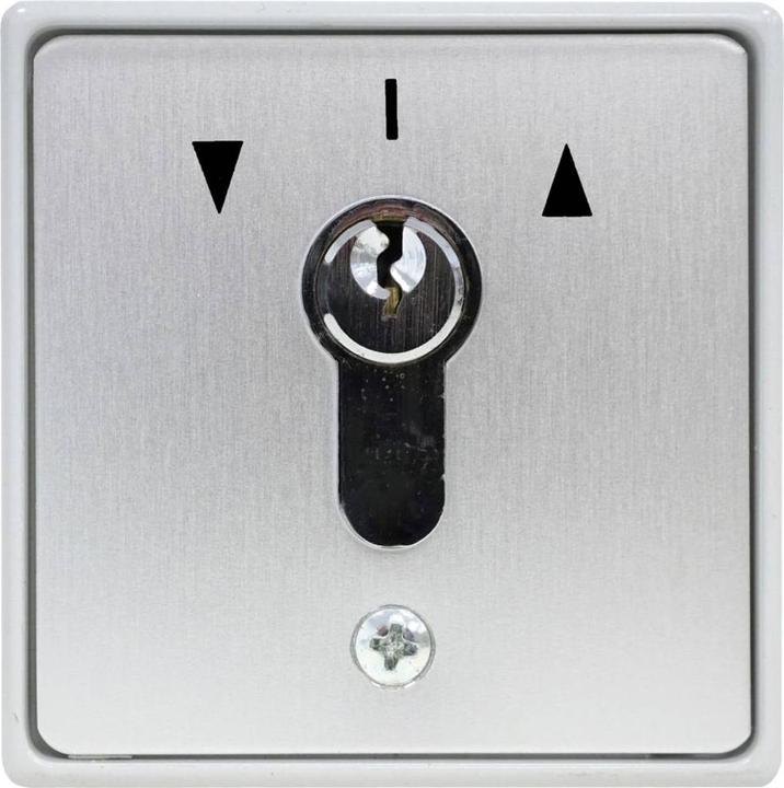Kaiser Nienhaus Commande de porte Bouton-poussoir à clé Ouvert