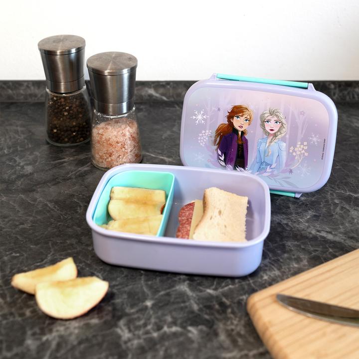 Actual product image Scooli Frozen Lunch Box