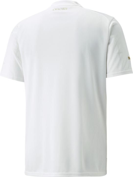 Immagine prodotto Puma FSS Away Shirt Replica (L)