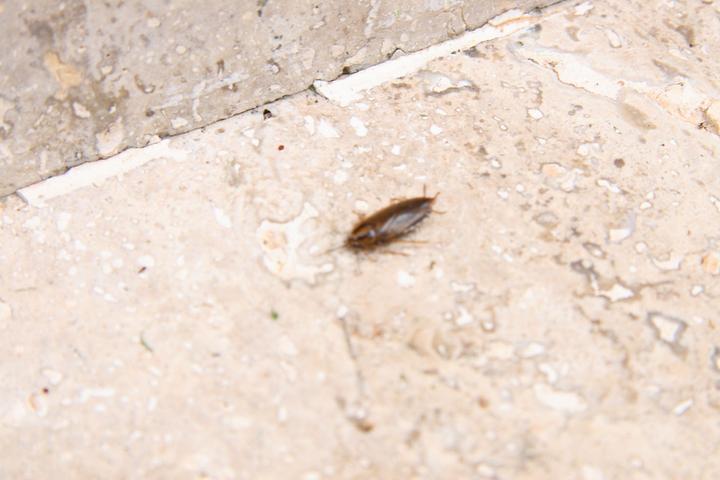 Image du produit Conrad Components Répulsif à ultrasons