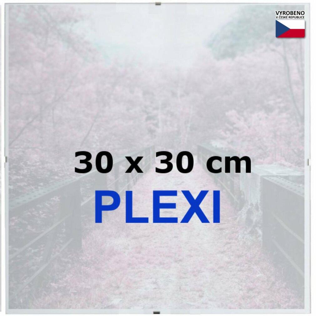 Thumbnail - Bfhm Euroclip-Rahmen 30x30cm (Plexiglas)