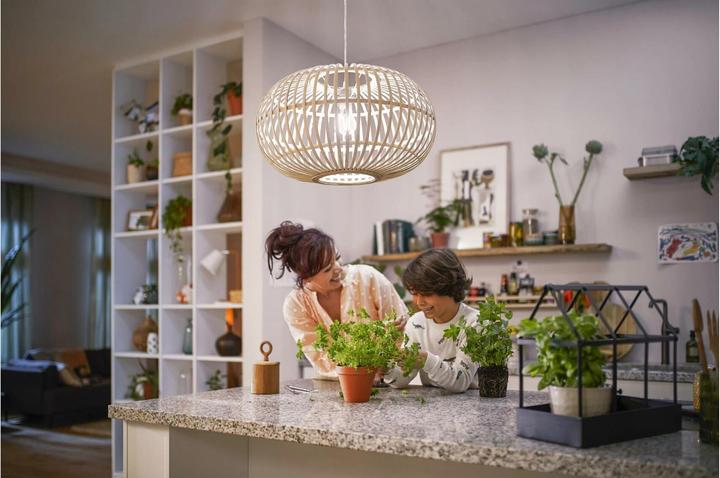 Produktbild Philips LED Classic (E14, 2.30 W, 485 lm, 1 x, A)
