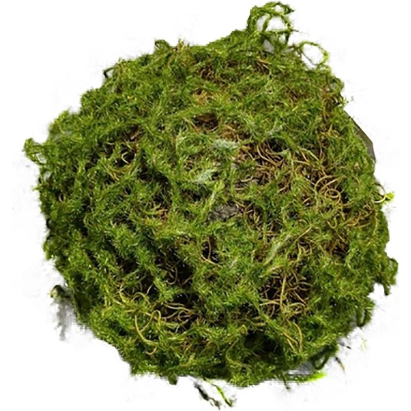 HTI-Living, Kunstpflanzen, Mooskugel 18 cm Kunstpflanze (18 cm)