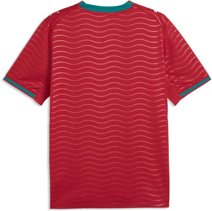 Image du produit Puma FPF Home Jersey Replica Jr (152)