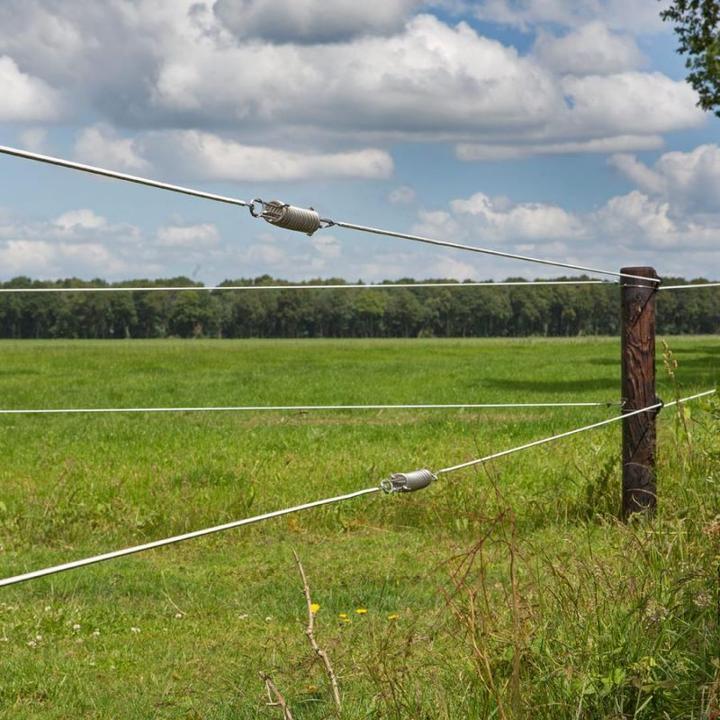 Actual product image Gallagher Wire spring