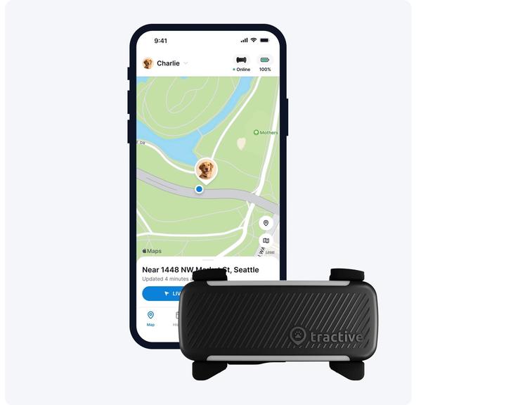 Actual product image