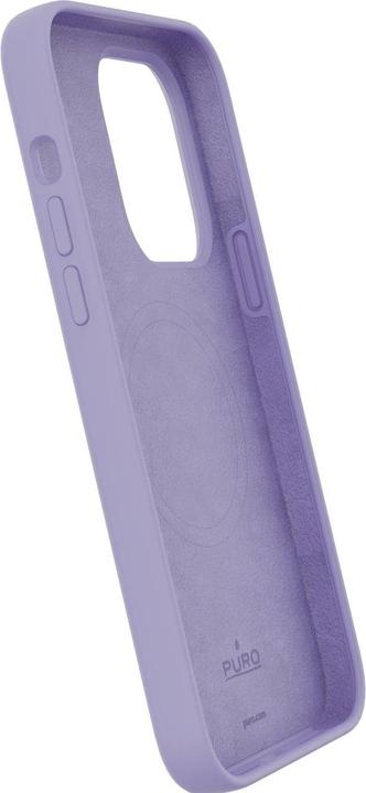 Viola