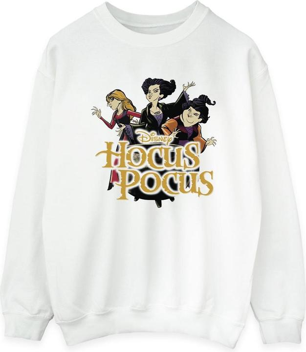 Actual product image Universal Textiles Womens/Ladies Strike A Pose Sweatshirt (3XL)