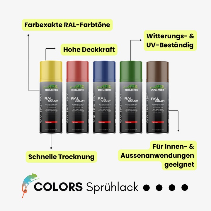 Actual product image Colors Spray can (Silver, 0.40 l)