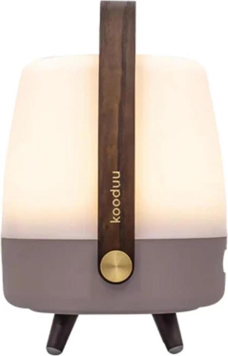 Actual product image Kooduu Speaker lamp lite up JBL mini brown