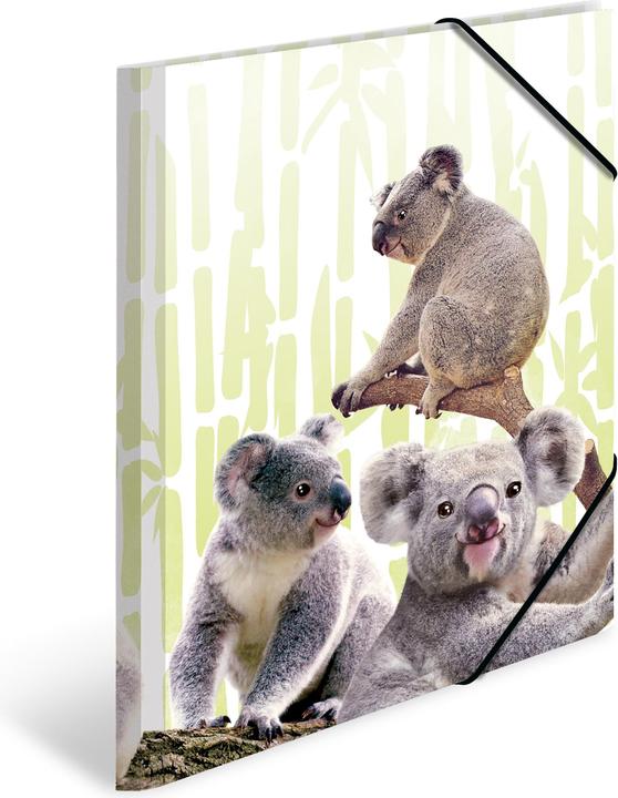 Image du produit HERMA Porte-documents A4 Motif (A4, 1x)