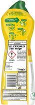 Actual product image Viss Scouring milk