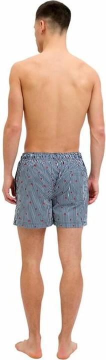 Immagine prodotto Jack & Jones Jpstmaui Jjswim Mini Stripe Akm Sn (M)