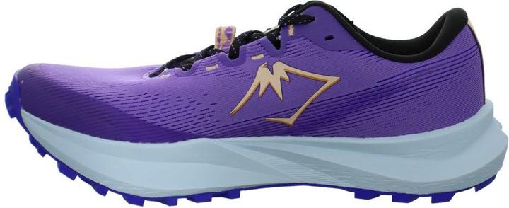 Image du produit ASICS Performance Fuji Lite 6 (40)