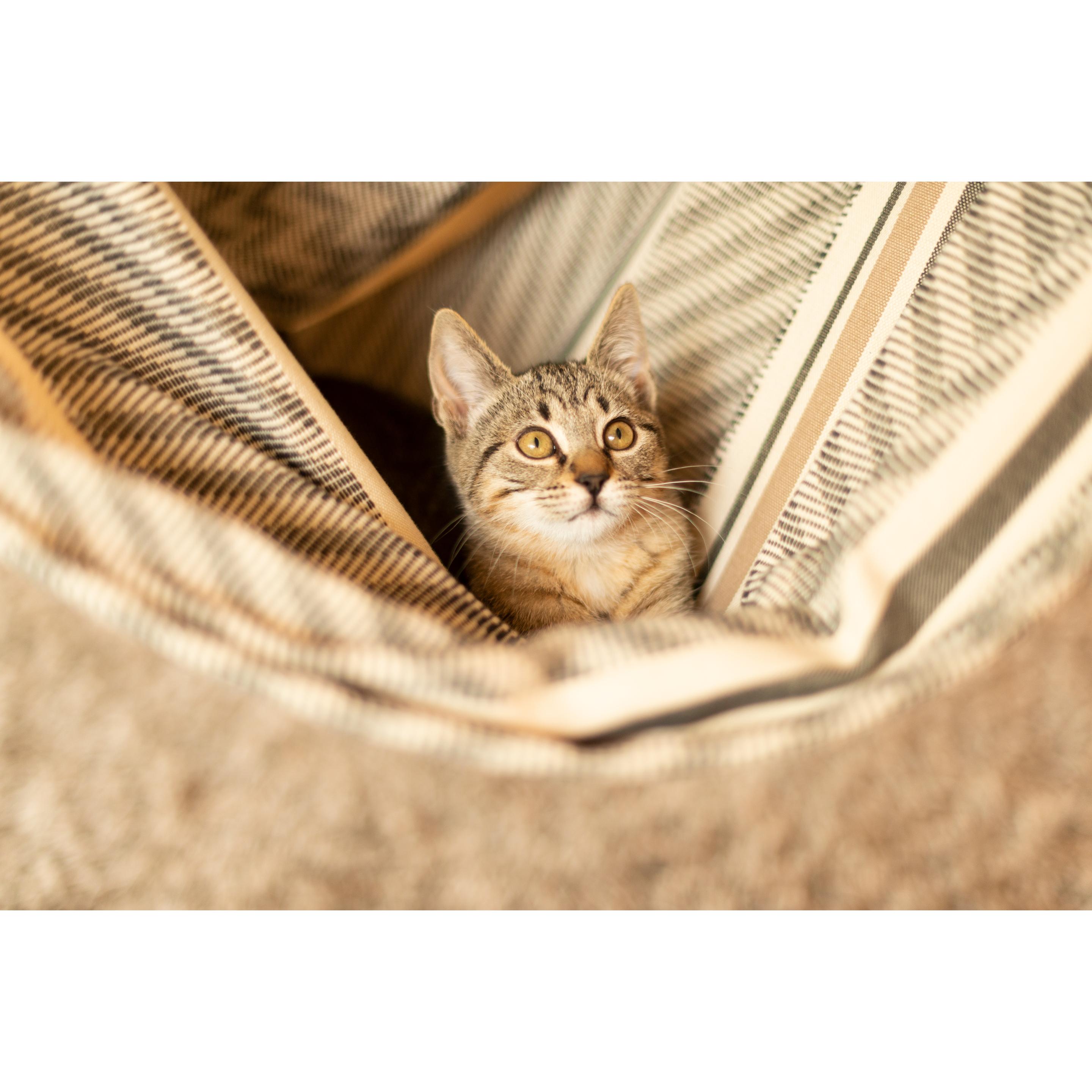 Thumbnail - La Siesta, Hängematte, Habana (160 kg)