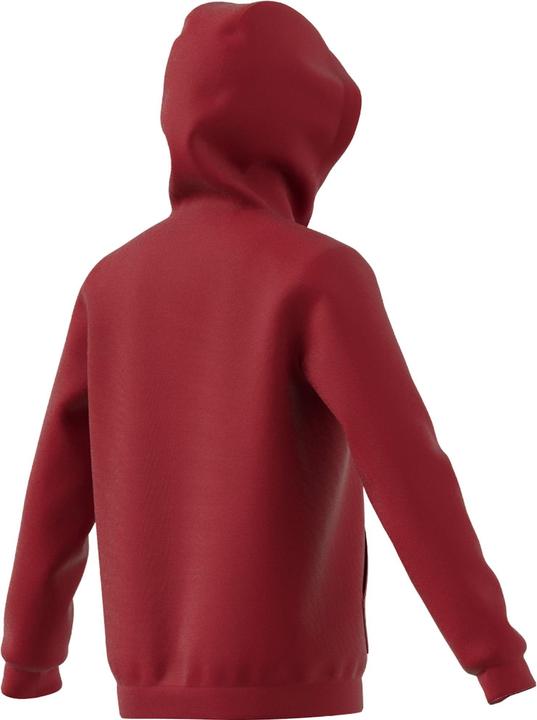 Immagine prodotto adidas Entrada 22 felpa con cappuccio per bambini (116)