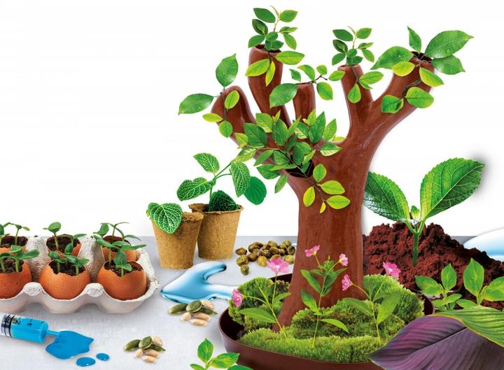 Produktbild Lisciani Wissenschaftsset Ich bin ein Genie. Wissenschaft zu Hause – Botanik