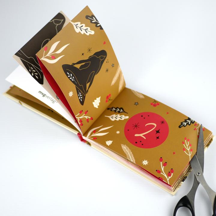 Actual product image 24 Meditations for Advent