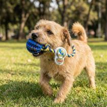 Productafbeelding Real Madrid CF Real Madrid C.f. Hundespielzeug Real Madrid C.f. Blau 10 X 30 X 7 Cm