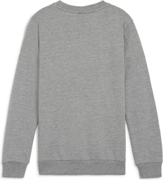 Image du produit Puma teamGOAL Casuals Crew Neck Sweat Jr (152)