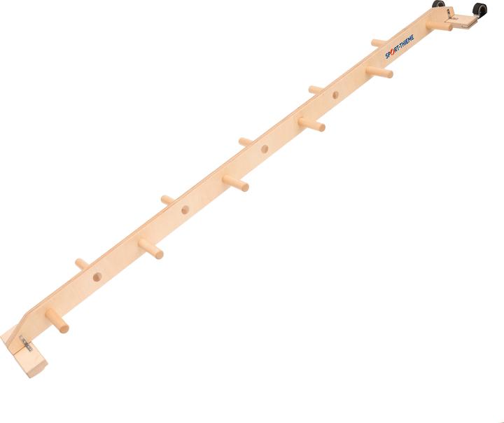 Actual product image Sport-Thieme Semiconductor Combi