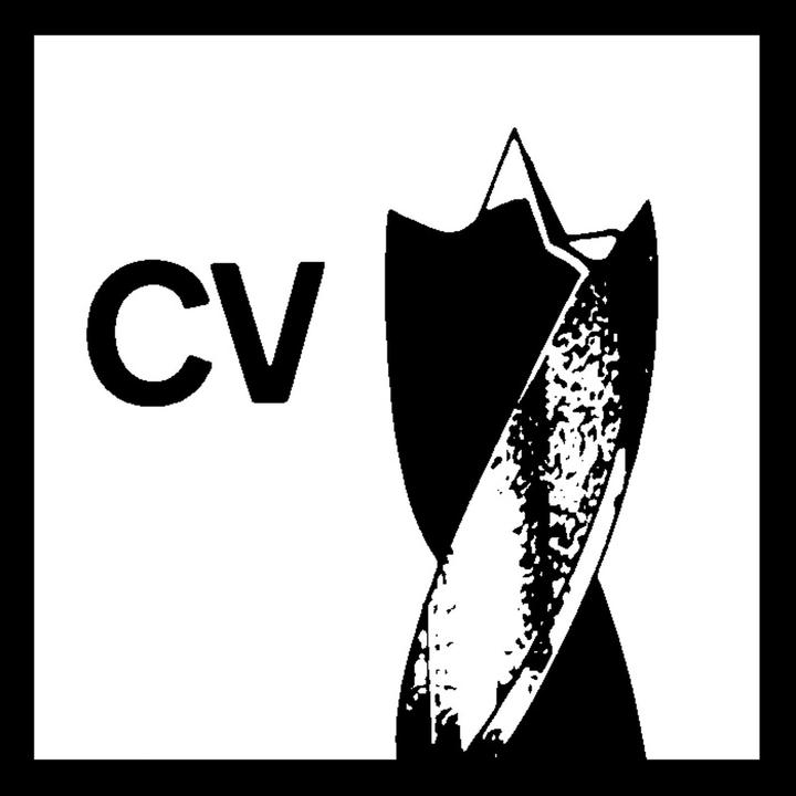 Produktbild Bosch Professional Zubehör Holzspiralbohrer Standard, 12 x 96 x 151 mm, d 10 mm (12 mm)