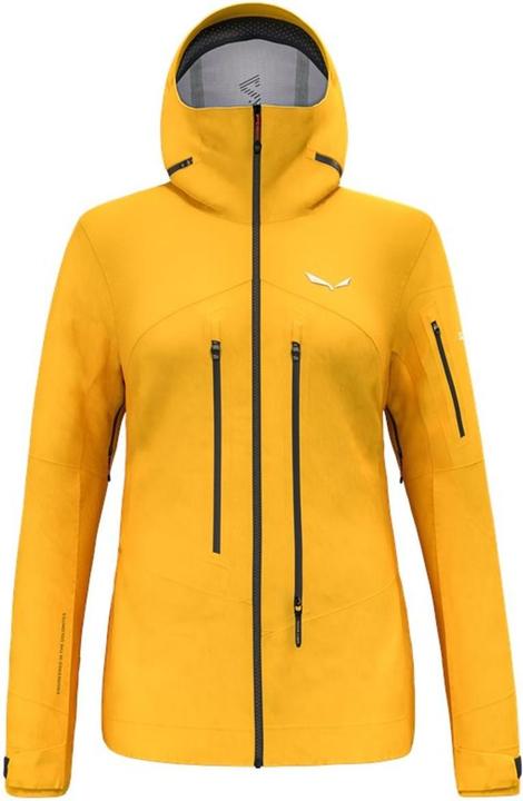 Produktbild Salewa Ortles Gtx Pro Jacket W (40, 46)