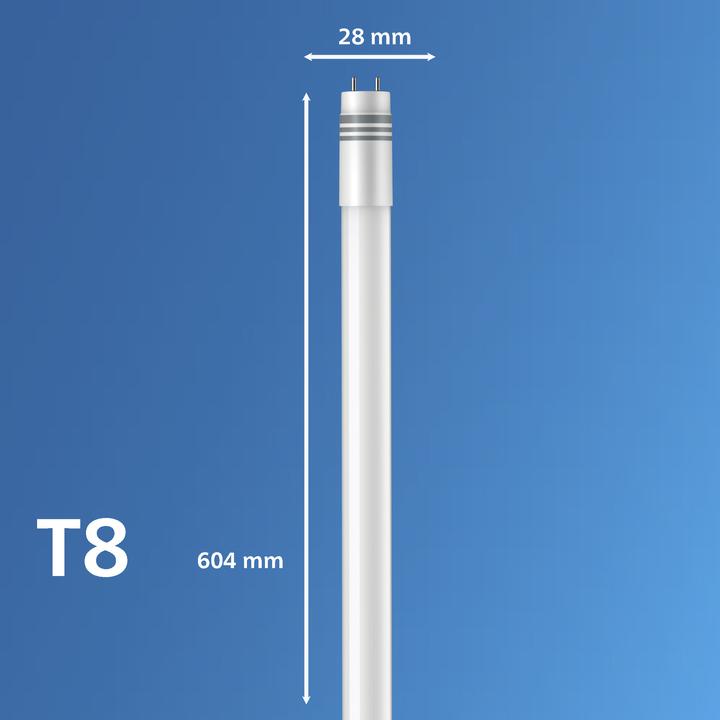 Produktbild Philips weiss (G13, 8 W, 900 lm, 4 x, E)