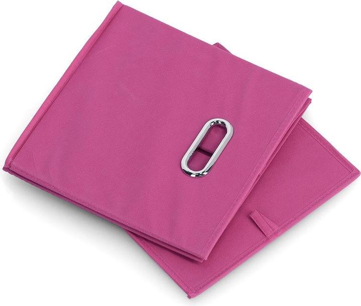 Actual product image Zeller Present Storage box (28 cm, 22 l, 1x)