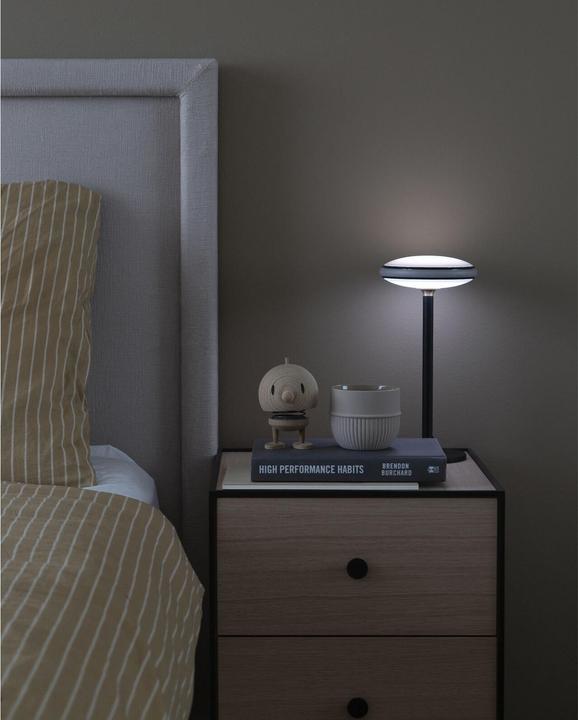 Actual product image F&R Bumble L Raw oak