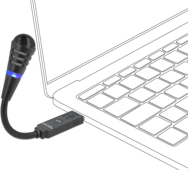 Actual product image Delock USB microphone