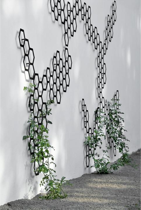 Produktbild Flora Comb-ination Spalier