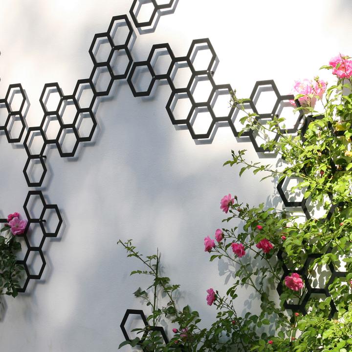 Produktbild Flora Comb-ination Spalier