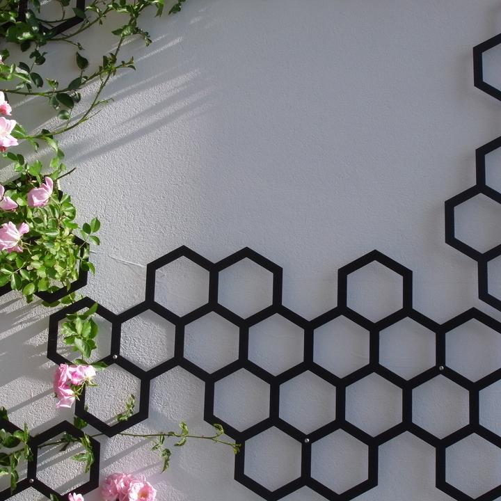 Produktbild Flora Comb-ination Spalier