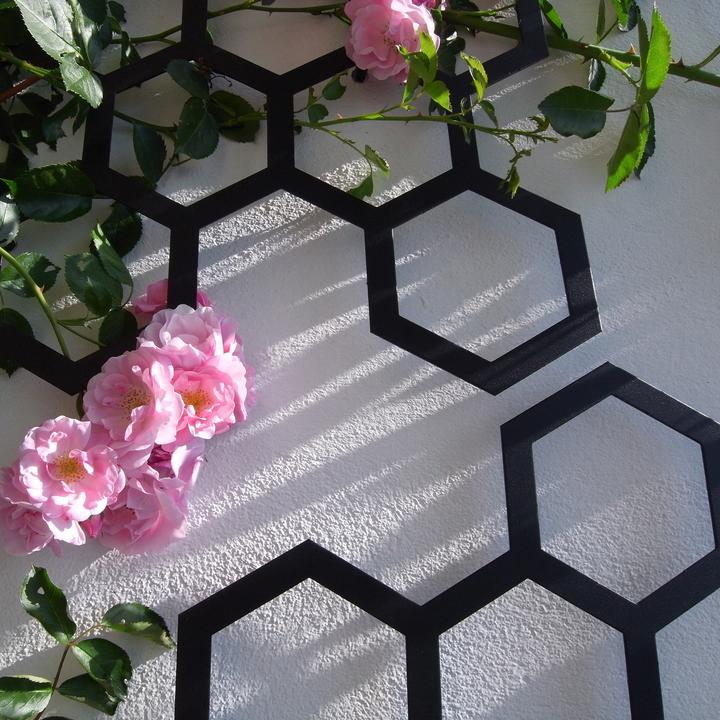 Produktbild Flora Comb-ination Spalier