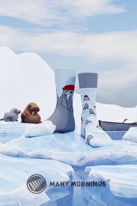 Actual product image Many Mornings The Walrus (Single pack, 39 - 42)
