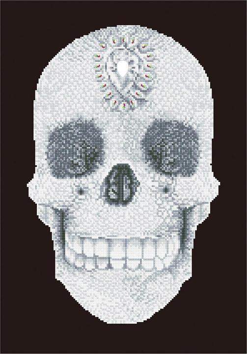 Image du produit Diamond Dotz Crâne de cristal