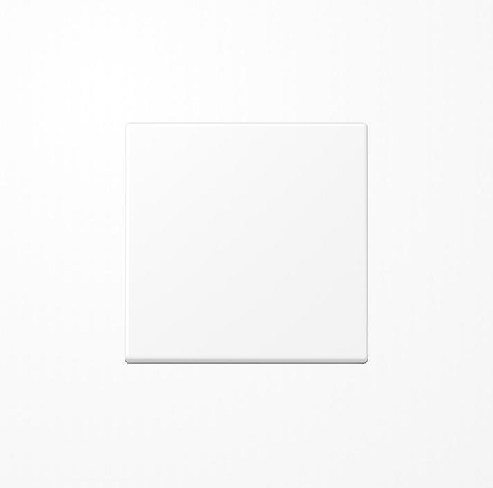 Actual product image JUNG Rocker 1t blind A ws mt A1700BFWWM