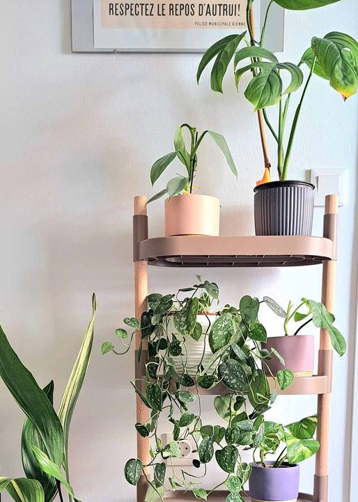 Image du produit CitySens Blumenregal