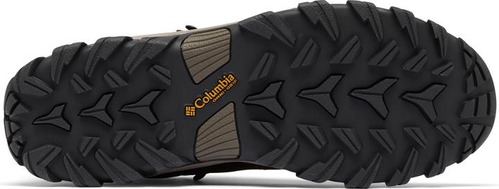 Actual product image Columbia Newton Ridge Plus II (41)