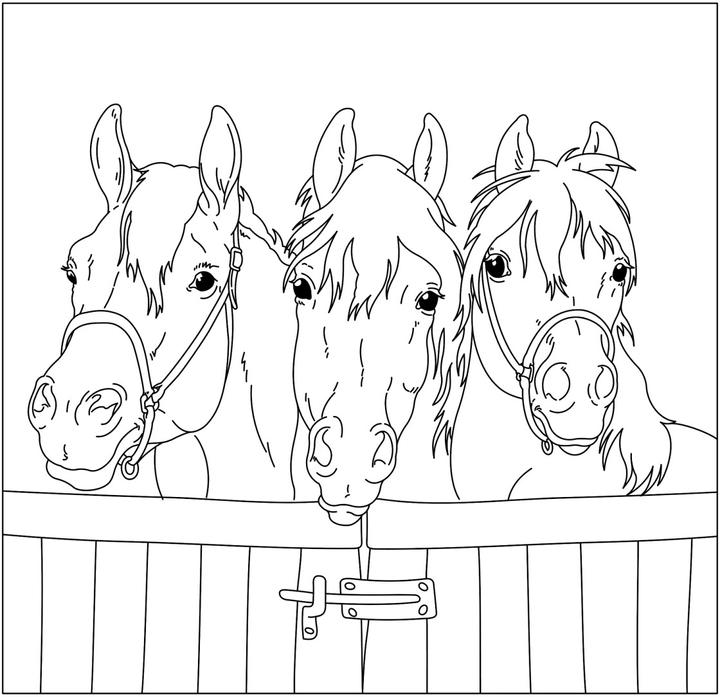 Produktbild Mein superdicker Pferdefreunde-Malblock