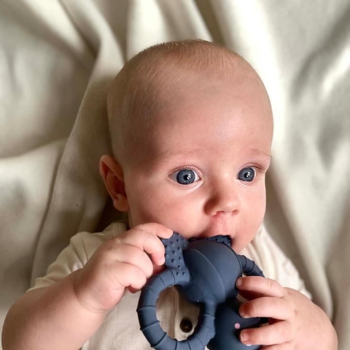 Image du produit Filibabba Felix la mouche (0 Mois)