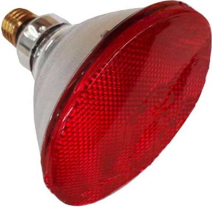Actual product image Philips Infrared heater 100W InfraRed PAR-38IR red (100 W)