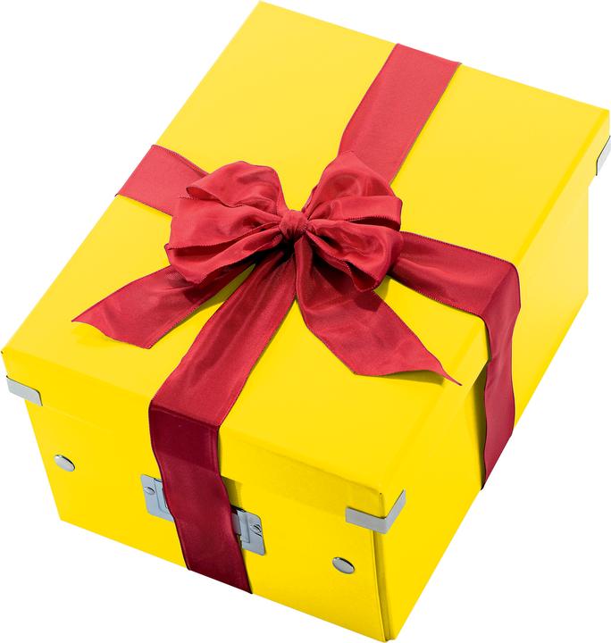 Image du produit Leitz Boîte de stockage WOW Click & Store (A4)