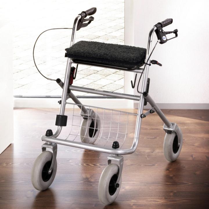 Immagine prodotto Erwin Müller Cuscino per rollator (Toilette)