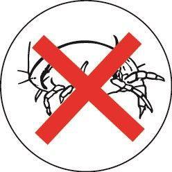 Produktbild Dodo Bettdecke Nice Night 350 g/m² Anti-Staubmilben 200 x 200 cm (200 x 200 cm)