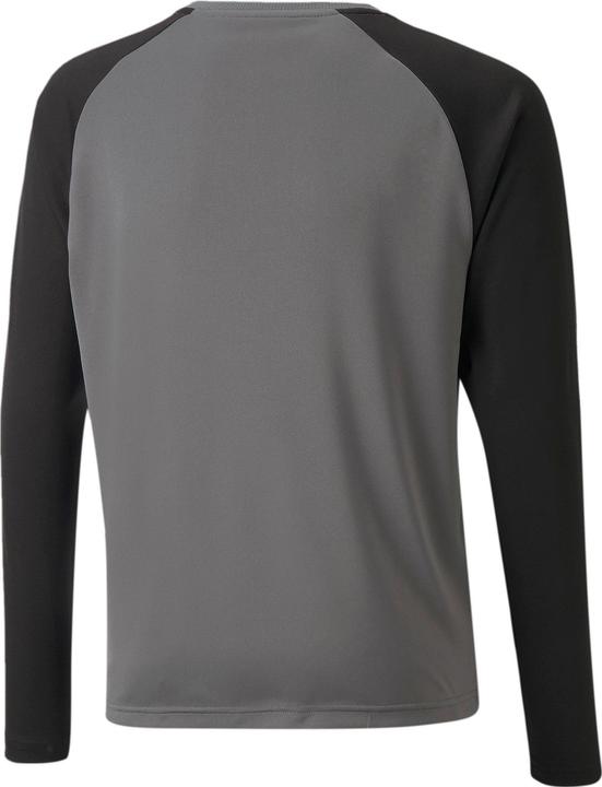 Actual product image Puma teamPACER GK LS Jersey Jr-704939 (164)