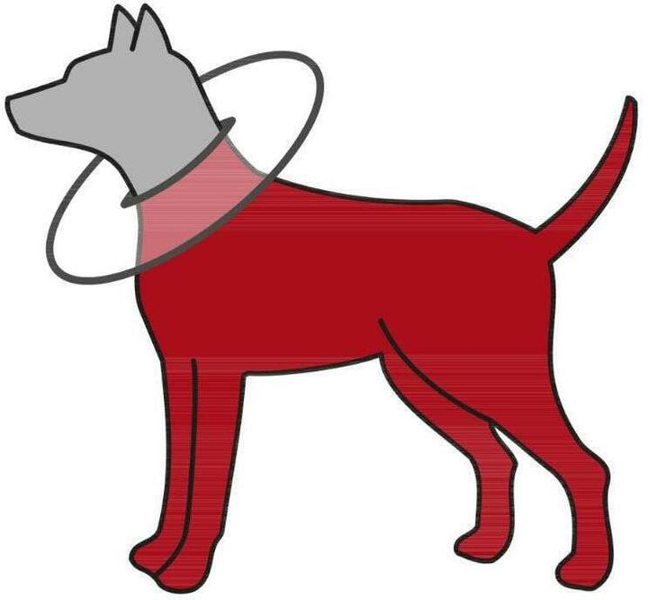 Actual product image Trixie Katryna